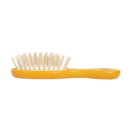 Small Oval Orange Brush