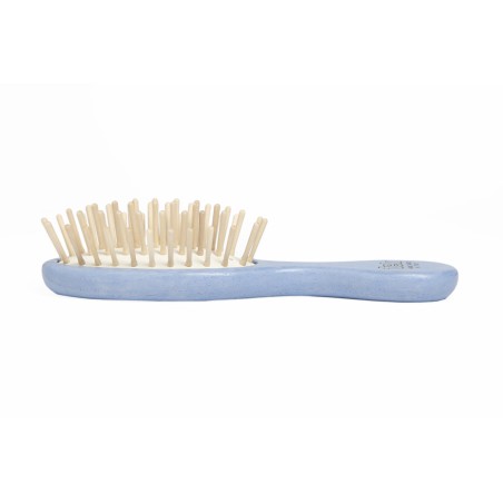 Small Oval Light-Blue Brush