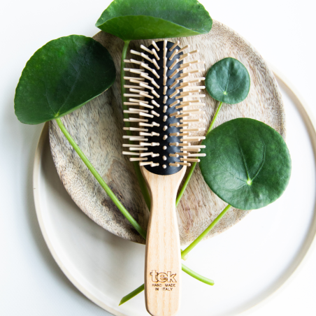 Large Pull-Apart Brush with Long Pins