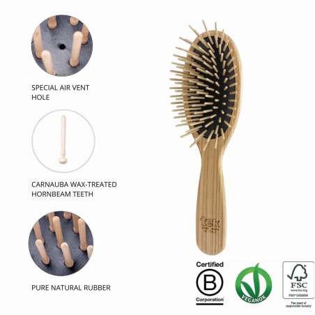 Large Oval Brush with Long Pins