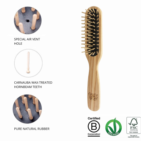 Rectangular Brush with Long Pins
