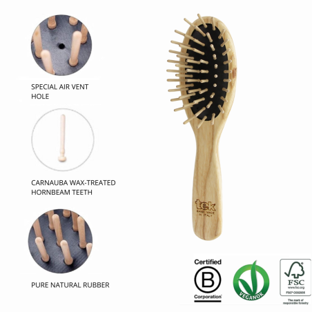 Small Oval Brush with Short Pins