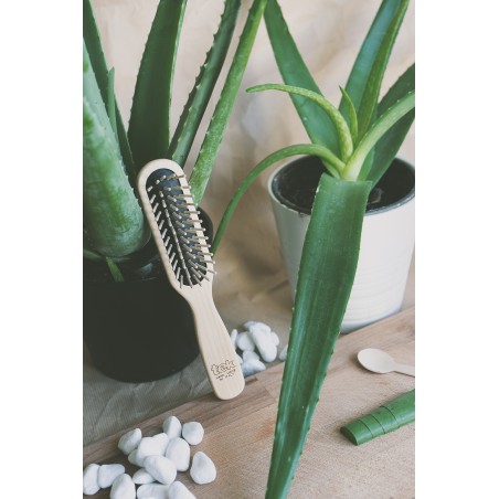 Rectangular Brush with Short Pins